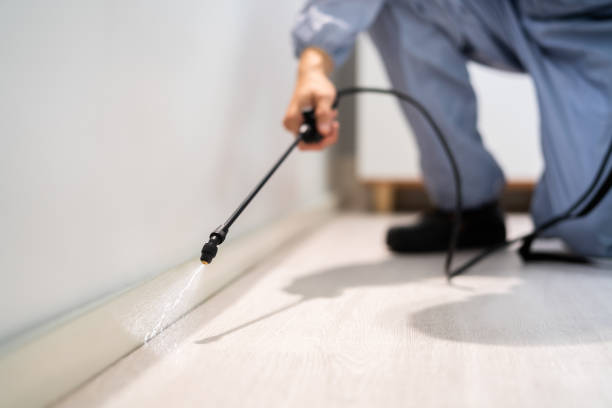 Licensed Rodent Control service in Covington, KY - Nex Pest Control