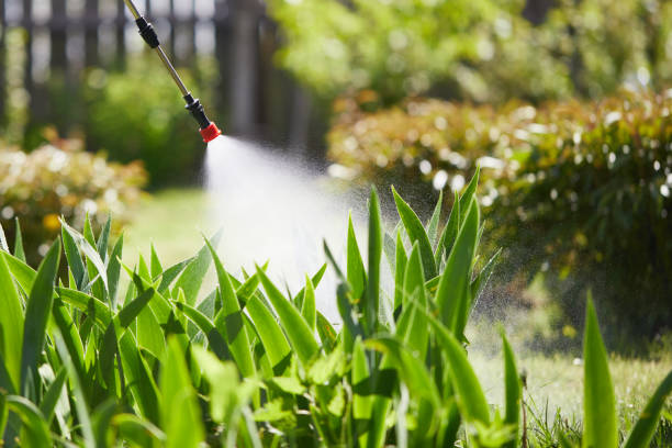 24/7 Emergency Rodent Control experts in Covington, KY