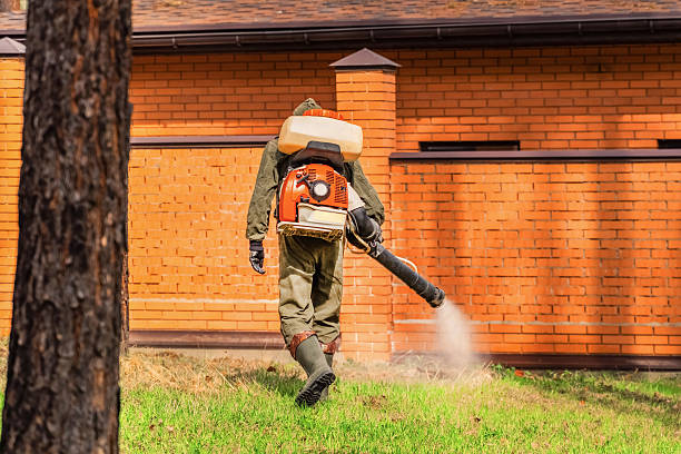 Trusted Emergency Pest Control service in Covington, KY - Nex Pest Control